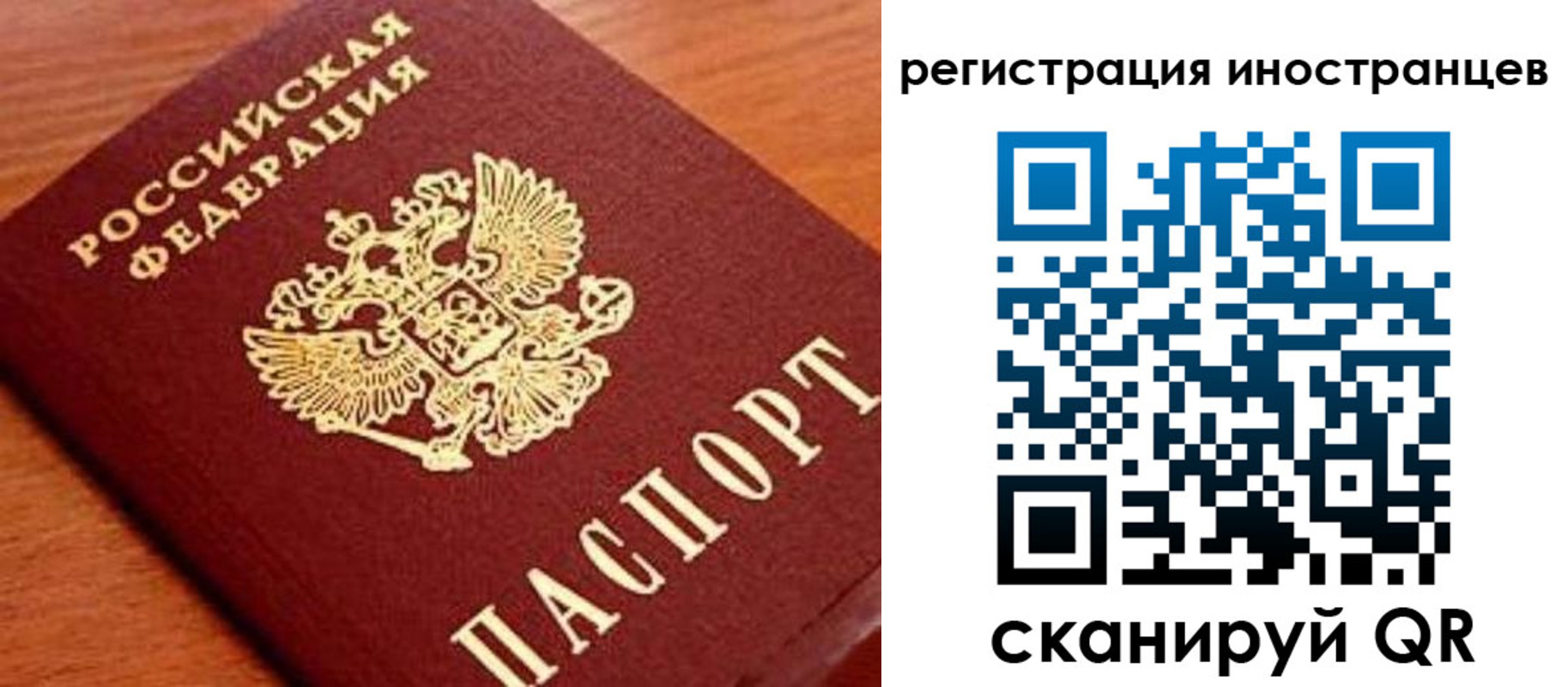 временная регистрация поиск в Мурманской области